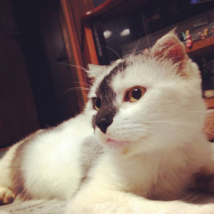 C3ebf1c4 c790 4869 95db f7f3e3985703