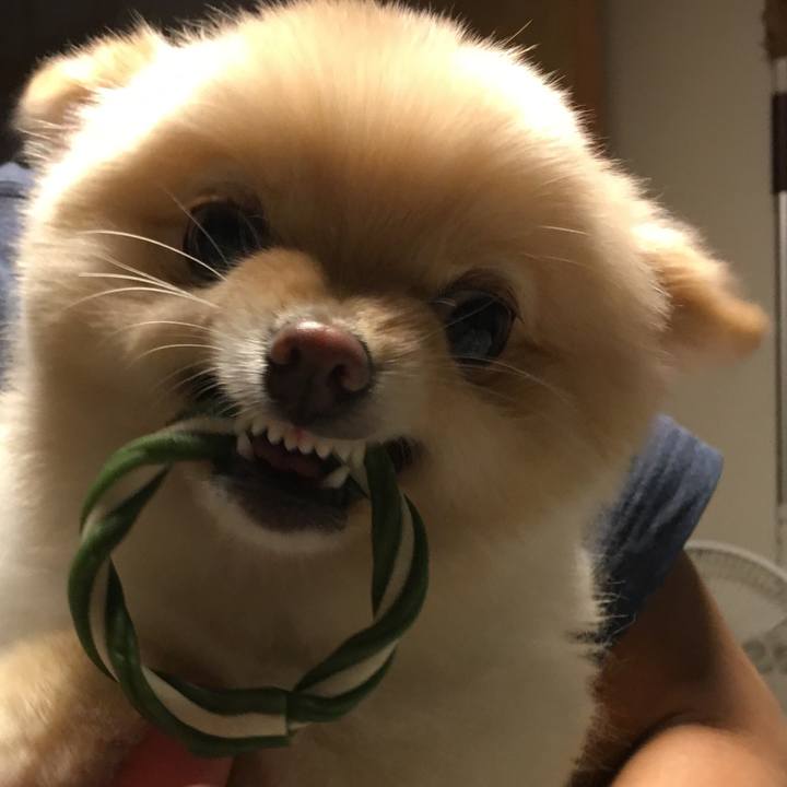 C3ec0002 b754 4ac9 8ee5 1fd045903a5e