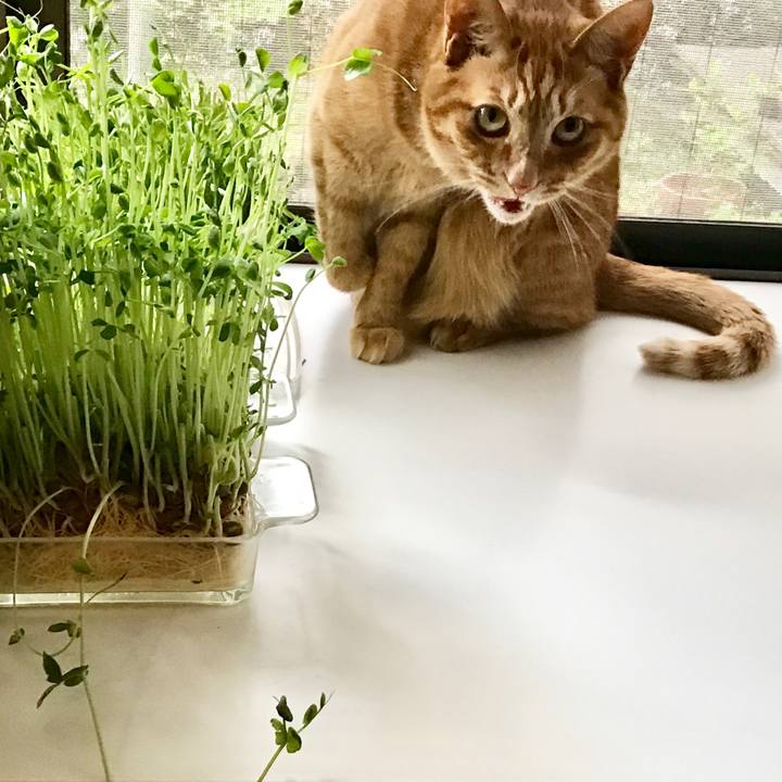 C3ec0aa8 728e 4123 9f6f 52241dbb9014