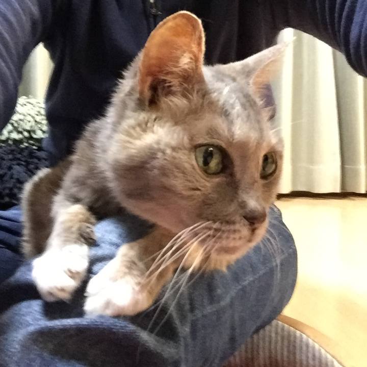 C3ec1304 d1a3 46b2 beee cad57827a669