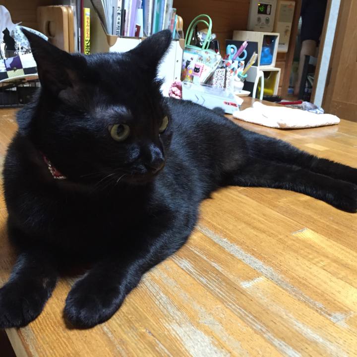 C3ec5afb 95c7 47df 932d d3d2fe6cb700