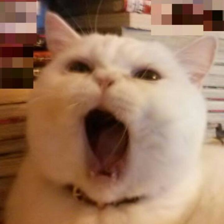 C3ede303 2b27 480a b317 7a1fb69d4db7