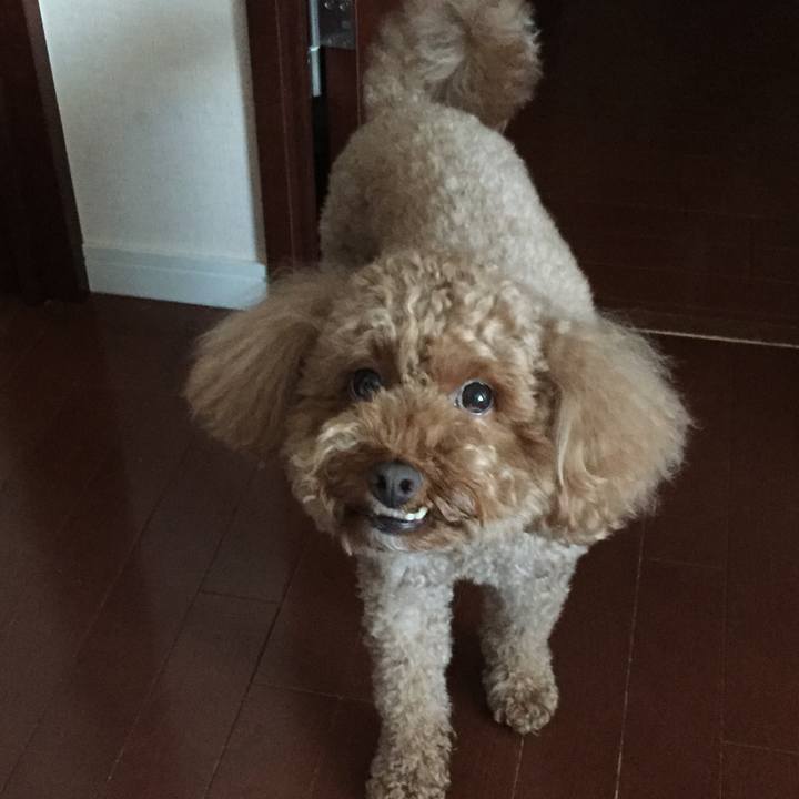 C3edfca3 397b 4d5f bc2a 858f59b4c4ad