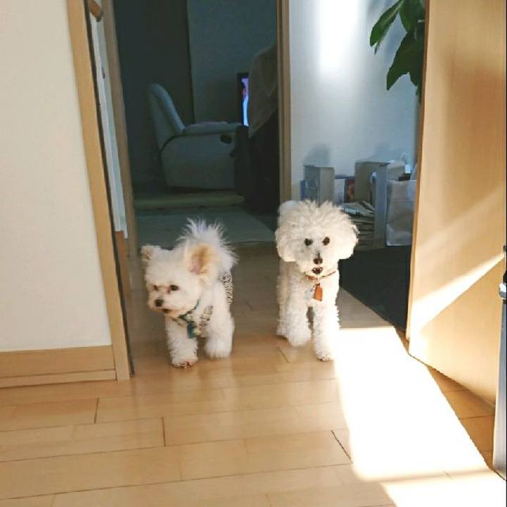 C3ee1c64 7f91 49e4 99d8 0086fcc775f4