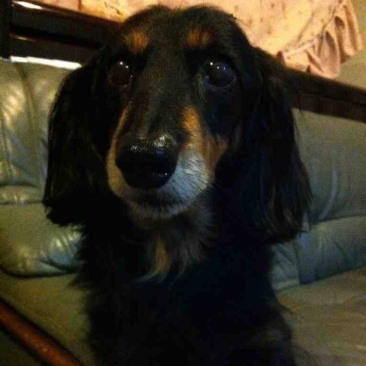 C3ee3c7f 2fce 4af7 87f8 af6c0b8d5b2c