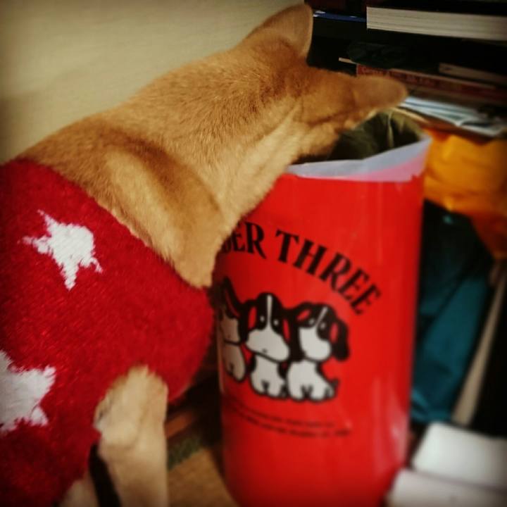 C3eeddf3 7ded 427d 9b99 c35a9078f4c1