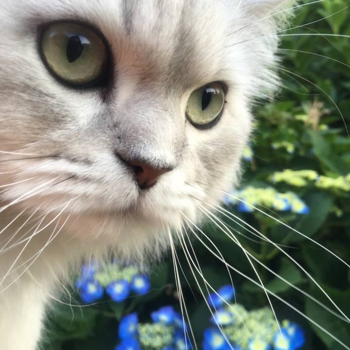 C3ef46e7 eccf 40b1 a269 cd2682eaf49a