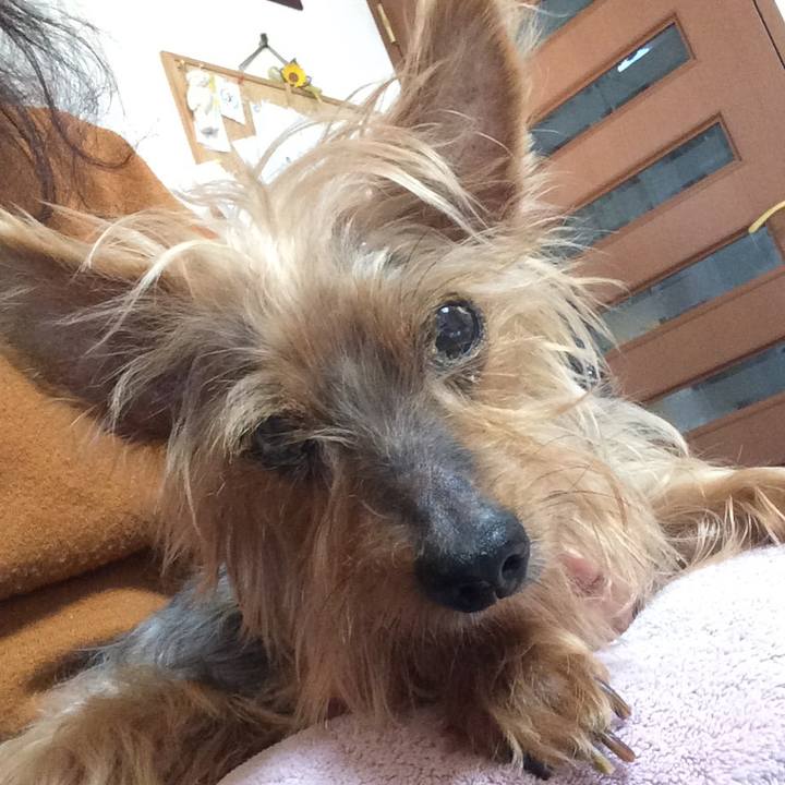 C3f03fe6 9e36 4703 8808 d22fceff297a