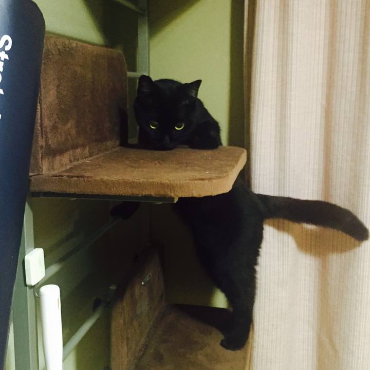 C3f111b8 bce4 4c16 af06 5229131d9493