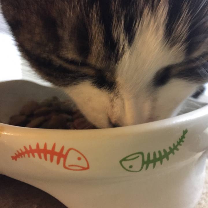 C3f13dc8 c858 4b47 829e 597e0ac7cecf