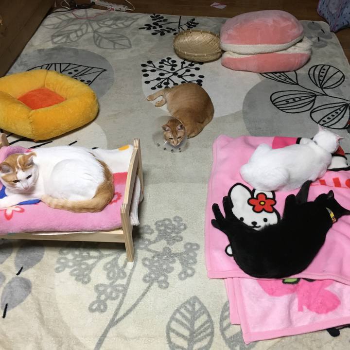 C3f1c19b 773f 435f 85a0 08063a1446ec