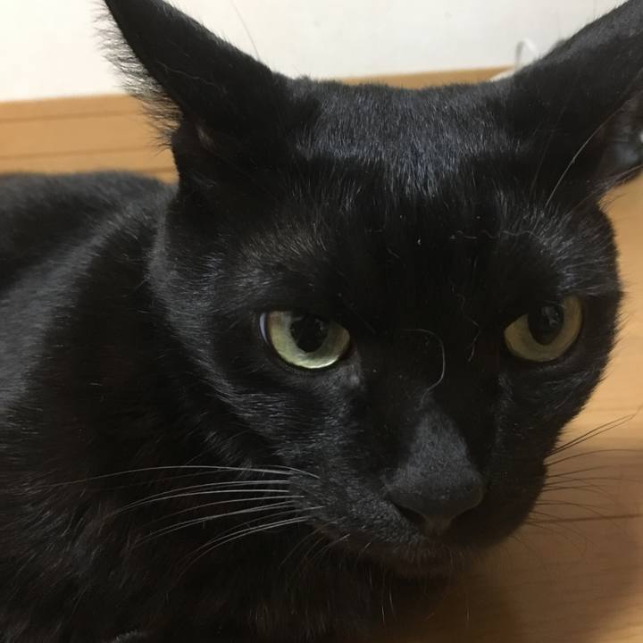 C3f2af95 0965 4efb bbda da8b6c1f59bc