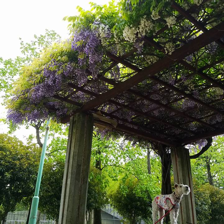 C3f336b9 fef2 4801 96e5 8971e6426006