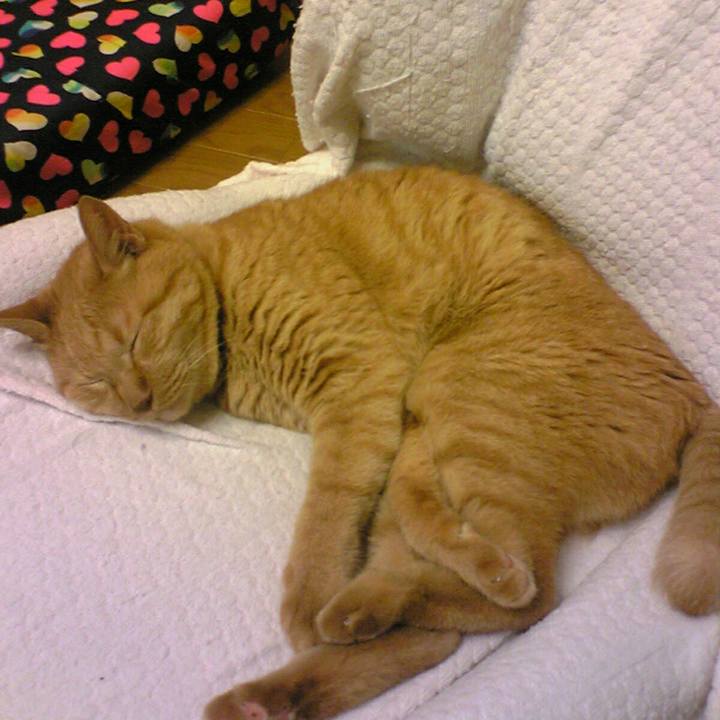 C3f33b13 ccd2 4ff2 b759 c481b7f045dc