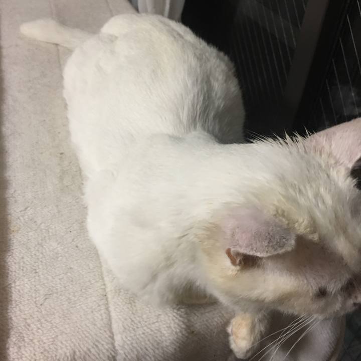 C3f344a6 d128 4183 a2e1 ca476c8b37c3