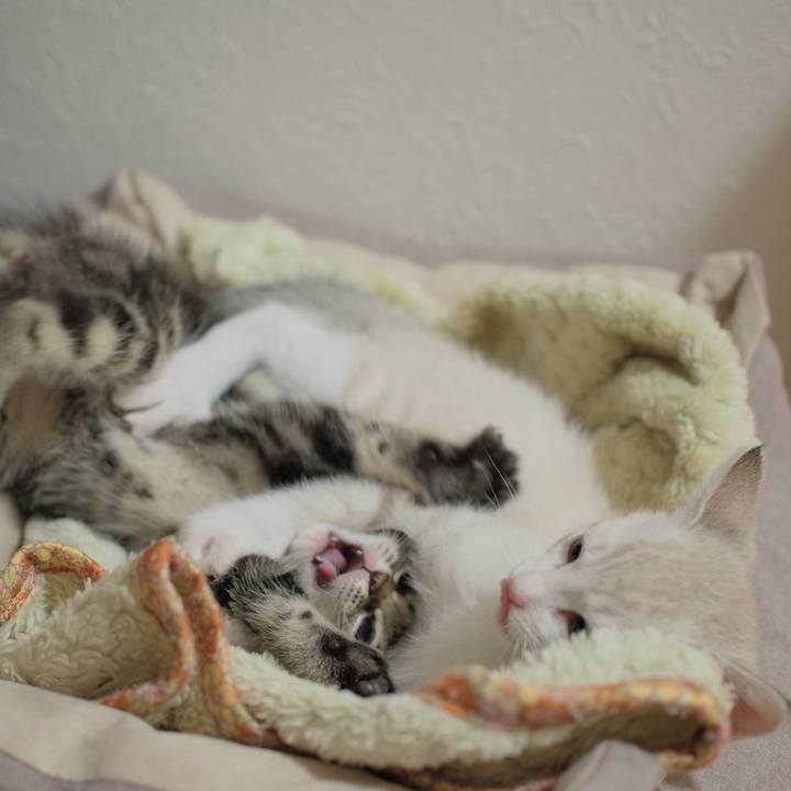 C3f35a62 61e3 4ebb a971 3ed2ec3c1465