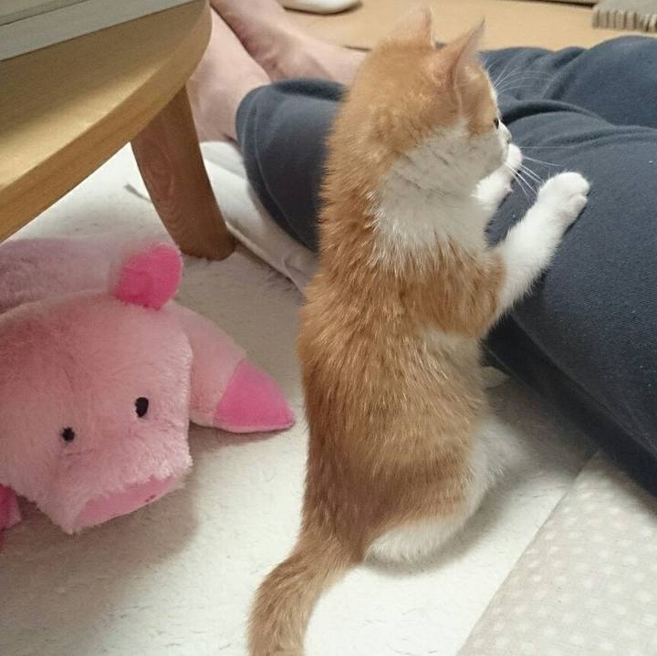 C3f443b6 ed34 4f4d 95a6 b9482c1dda1b