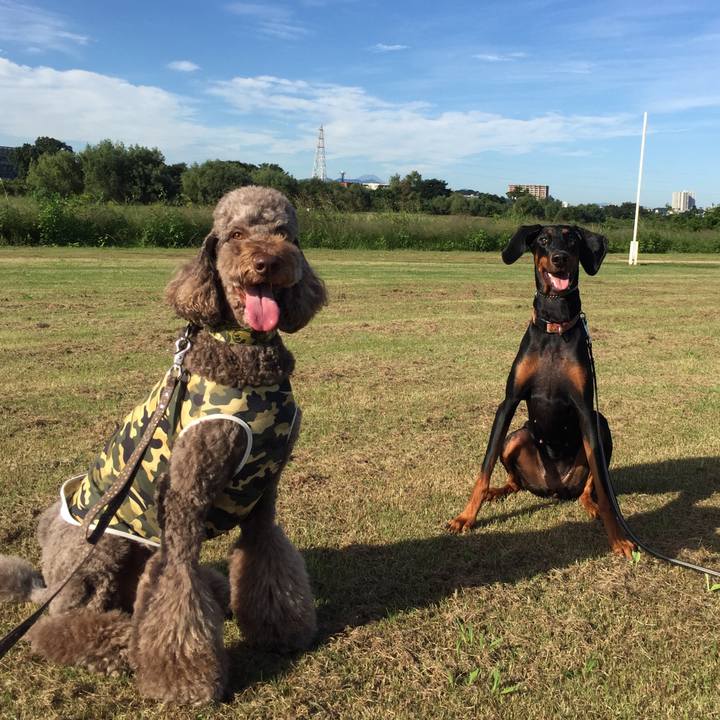 C3f4efe8 ae9a 4c59 b5f4 f927904ec5bf