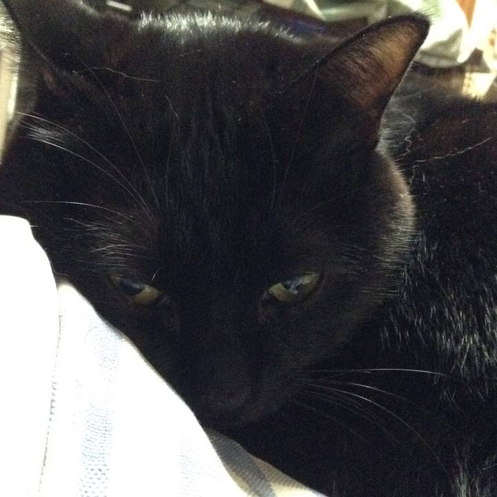 C3f511d3 c0fe 4a4b a70b 845a22ba7544