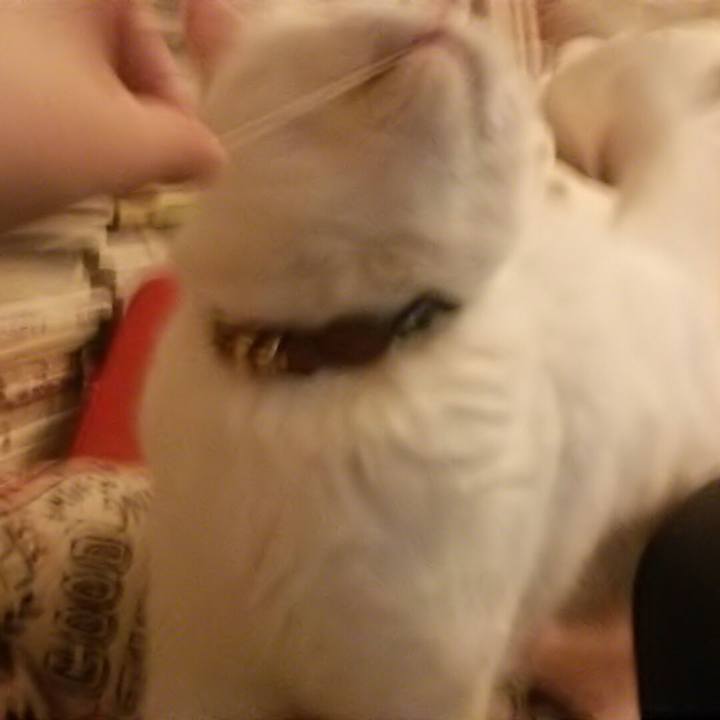 C3f5a541 6b58 434b ab55 6b89c47600a1