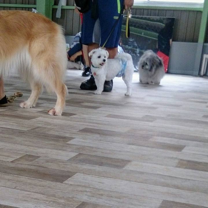 C3f5ca3c 7956 4a5c 83c1 112c0416a307