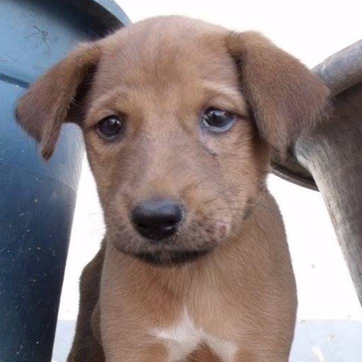 C3f5f399 5649 4463 9a55 bf2553b6bbd6