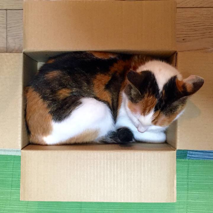 C3f751c6 f373 408a 9983 24a419c03ded