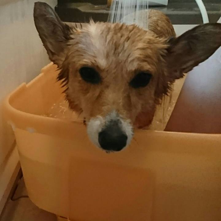 C3f7fd1b de70 4f8f 9c27 1d2b675c17a7