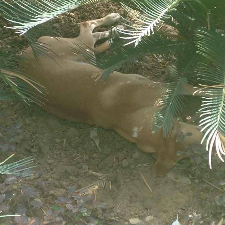 C3f831f6 07b0 4bb8 896c 406dd35a52b2