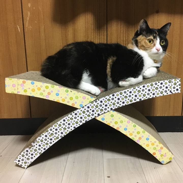 C3f8af07 2a7b 4e21 9ba5 d47ed4ef3fe1