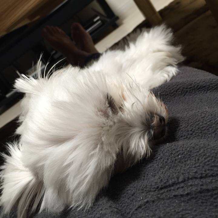 C3f8ea8b d31e 4ea1 accc 8599888f9ac9