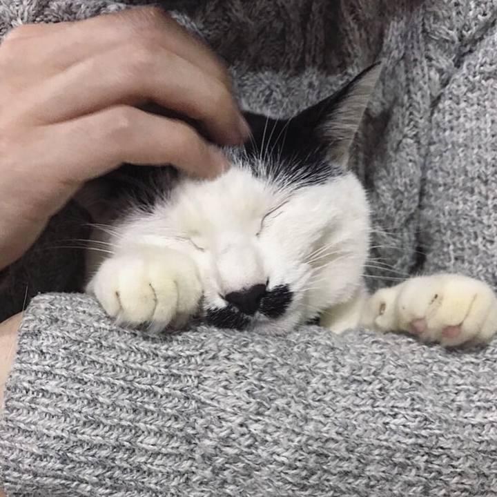 C3f8f9c7 4ae1 46f2 a733 b846eb2bfc17