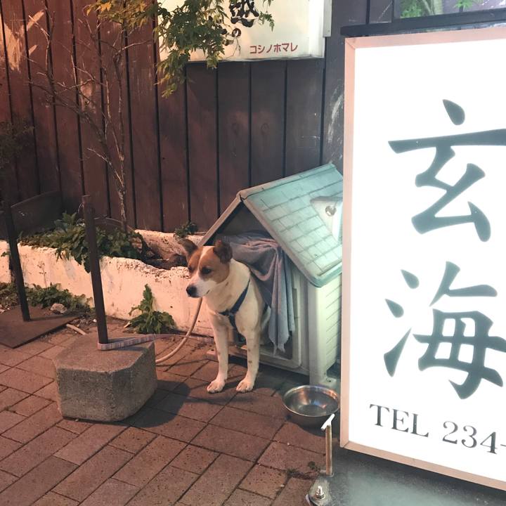 C3fa39c5 b4e9 442e aa9c 42bb230ee36e