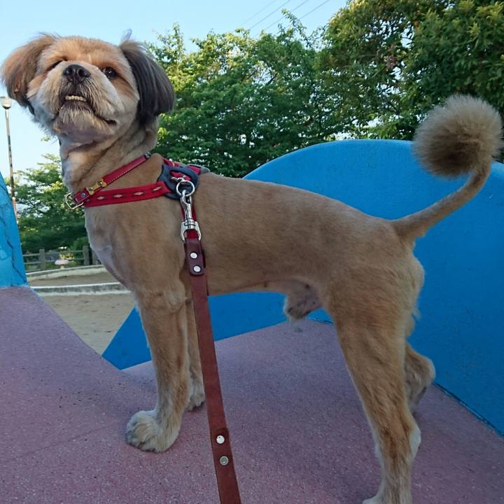 C3fa39fa 4426 4d59 b219 f6d481a20da7