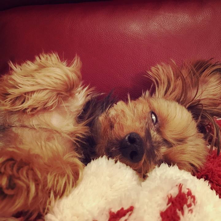 C3fa6c71 a314 4188 ad6c 42360110bf65