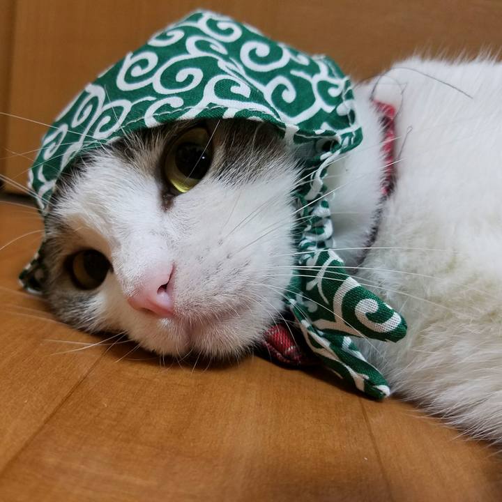 C3fb02af 9e35 465b 8784 a06e079a5f7a