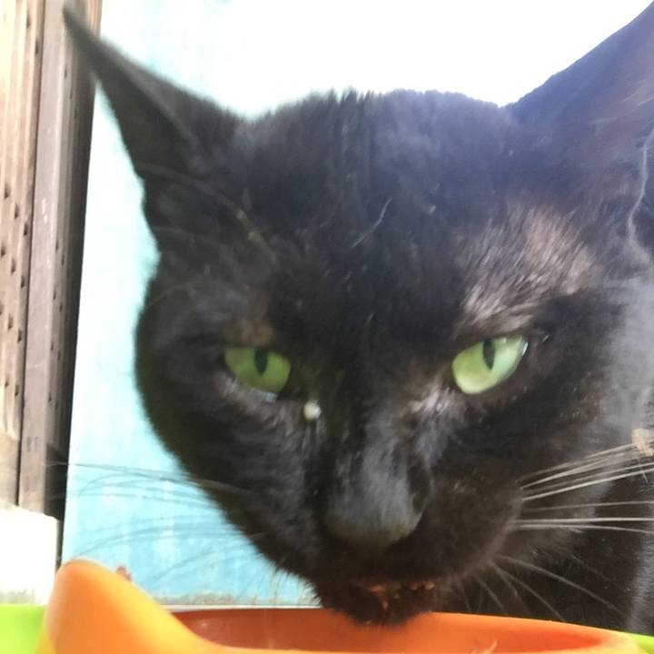 C3fbbdd3 219e 49a8 a9a2 a42ab653a4cf