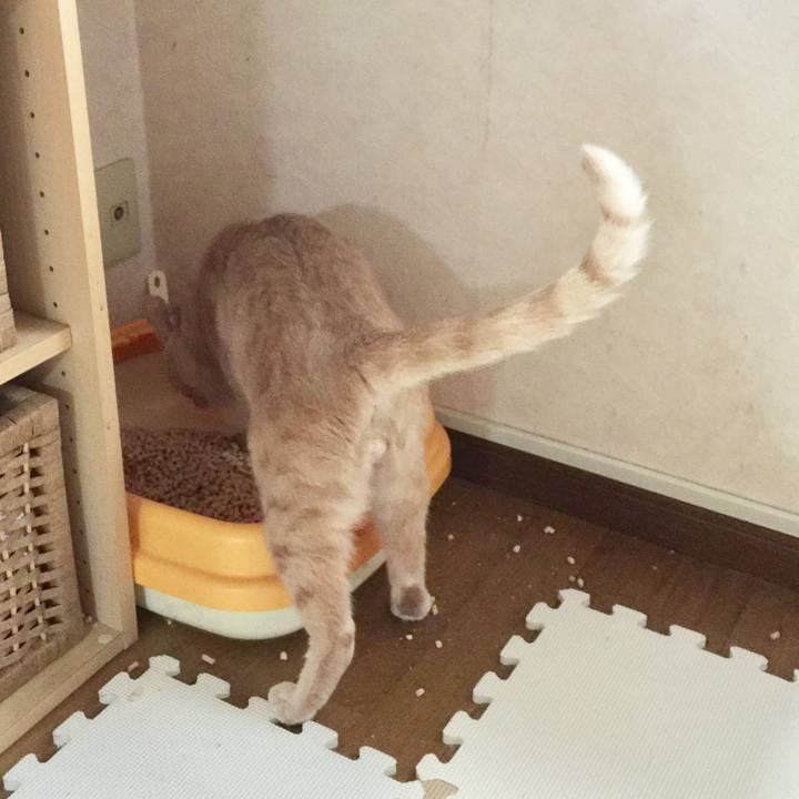 C3fbdce6 b4bf 45c2 8f86 d74f84463cc9