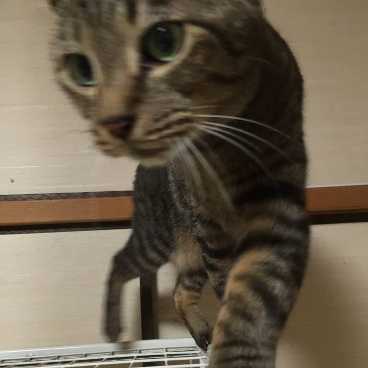 C3fc204d 0acf 448c 9438 0e1b729da7ad