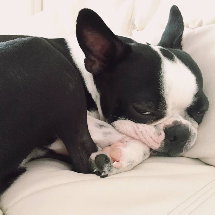 C3fc481f 1f9e 40df 8454 3c05956c408b