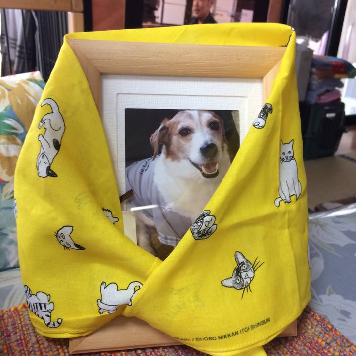 C3fc7f56 2f94 4fbf b1b7 68428a32af4b