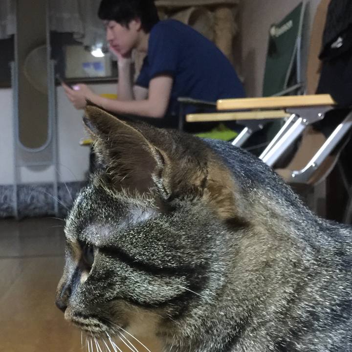 C3fc8376 2cd1 4abf 9845 655b52a37d65