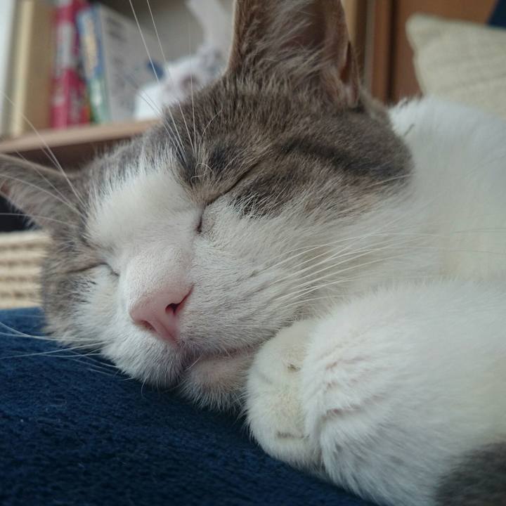 C3fd75ff 15ba 49d0 b314 94afdfe02071