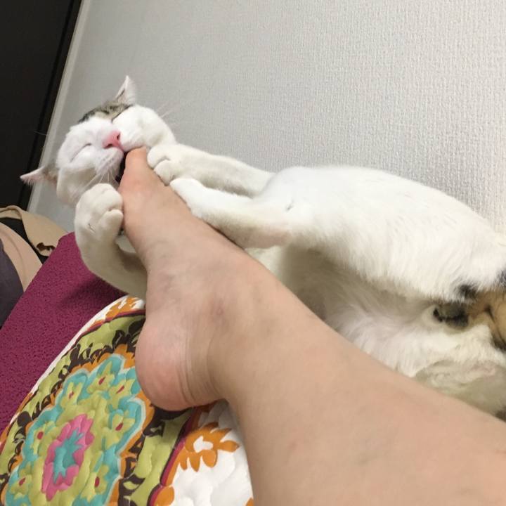 C3fda5ed 9f3b 4ddb b4d8 5c7fab040d5a