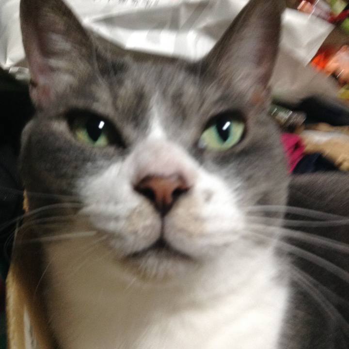 C3fdea2a 994b 41a6 842f ff8c2aa82e32