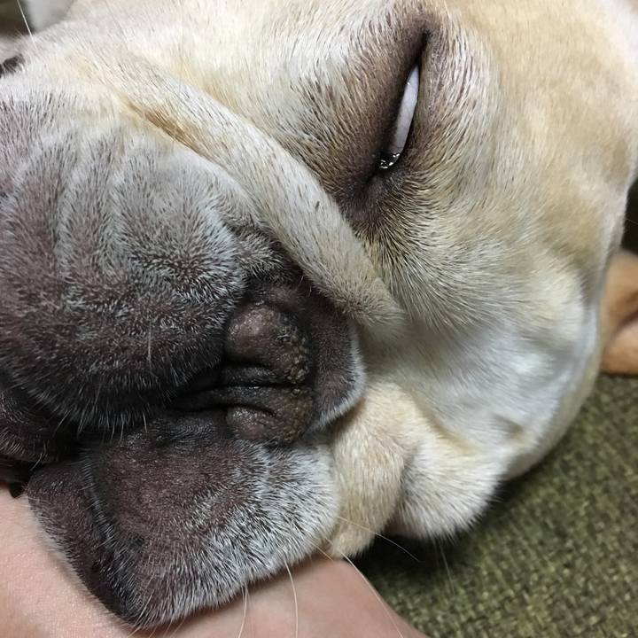 C3fe0879 5867 4993 afa8 29a5350c4dd8