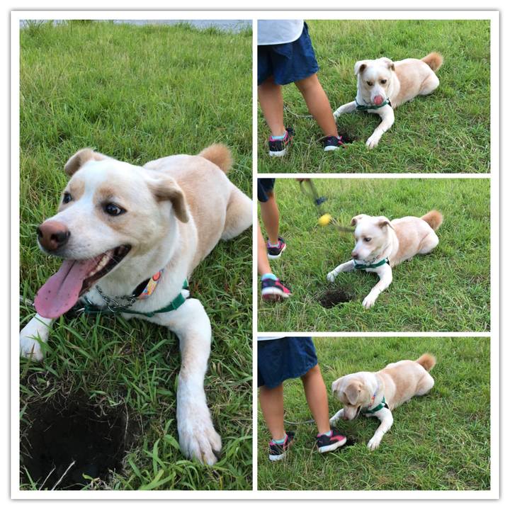 C3fe1f91 d06e 4d42 a250 2bf49133a603