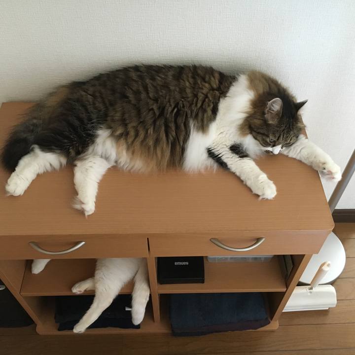 C3fe6b04 549a 48a7 92c2 feda40721327