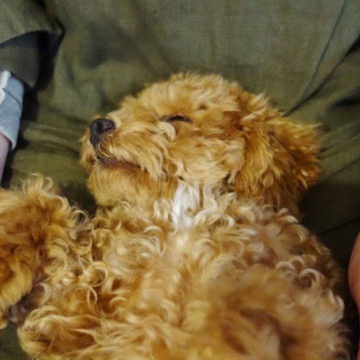 C3fe815a d56c 4512 b221 01000af69134