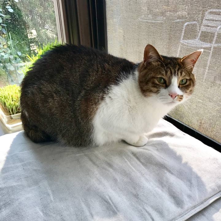 C3febcbf cd63 495e 9c2a e198f4544fd7